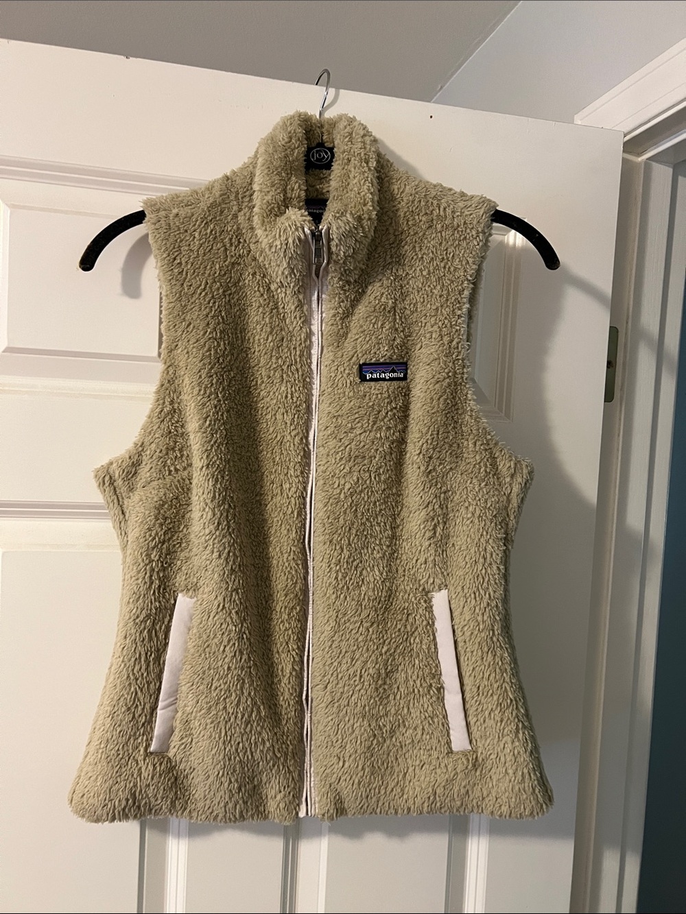 Patagonia Gato vest